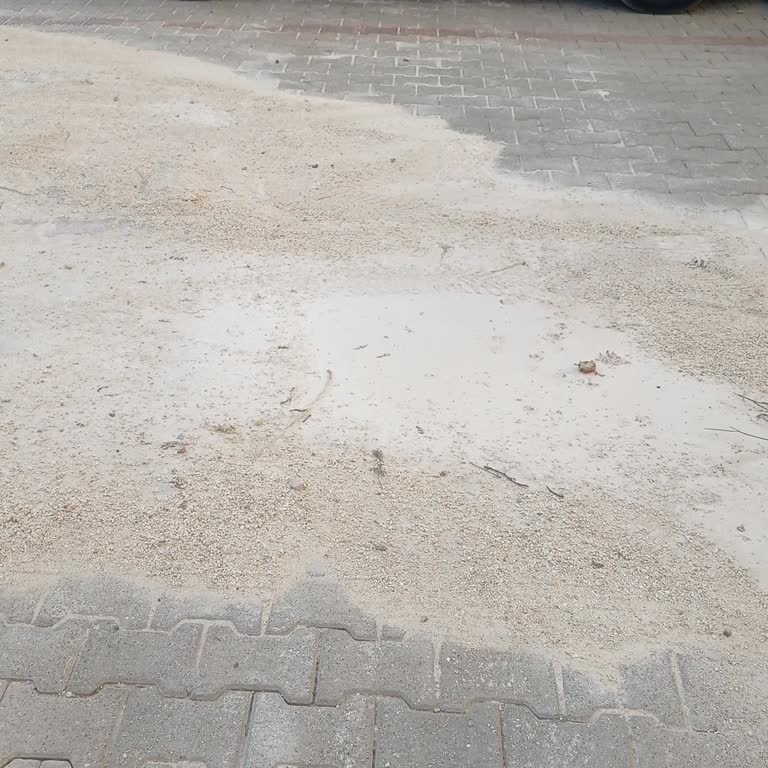 Belediyenin Sokak Temizliği Eksikliği Nusaybin’de Yürünemez Duruma Yol Açtı