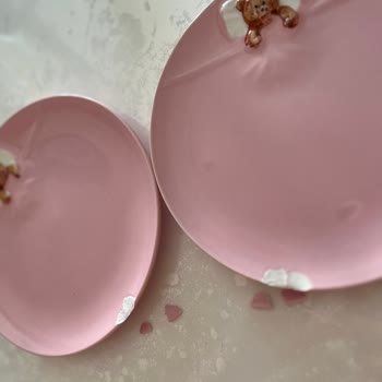 Trendyol’da Kırık Tabaklar Değiştirilmiyor, Canlı Destek Yanıltıyor