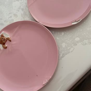 Trendyol’da Kırık Tabaklar Değiştirilmiyor, Canlı Destek Yanıltıyor