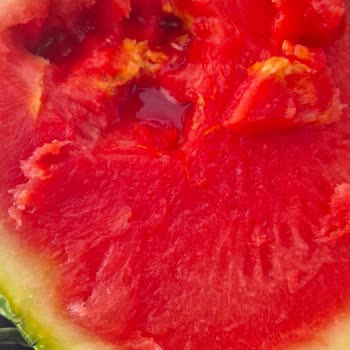 Migros Sanal Market’te Çürük Karpuz Teslimatı Ve Yetersiz Müşteri Desteği