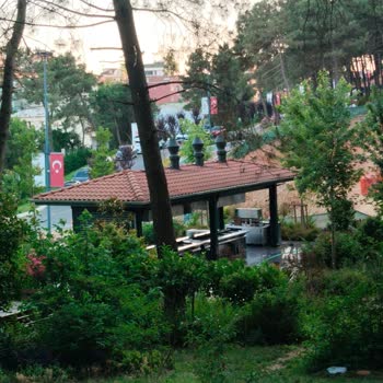 Eki aç