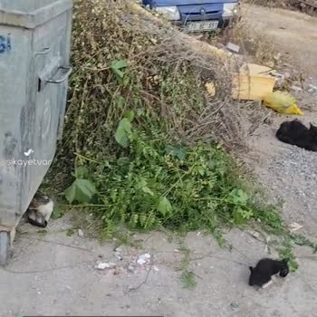 Menderes Belediyesi Çöp Ve Konteyner Sorunu Çözümlemeyi Bekliyor