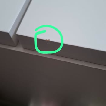 Vision Mobilya Eksik Ve Defolu Mobilya Teslimatı Mağduriyetimiz