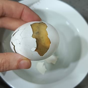 Avcılar Şok Şubesinde Bozuk Yumurta Satışı Ve Hijyen Sorunu