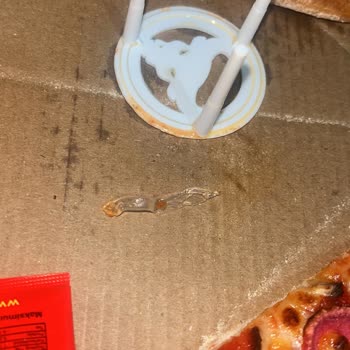 Pizza Bulls Hürriyet Şubesinde Plastik Parça Bulunması Gıda Güvenliğini Tehlikeye Attı