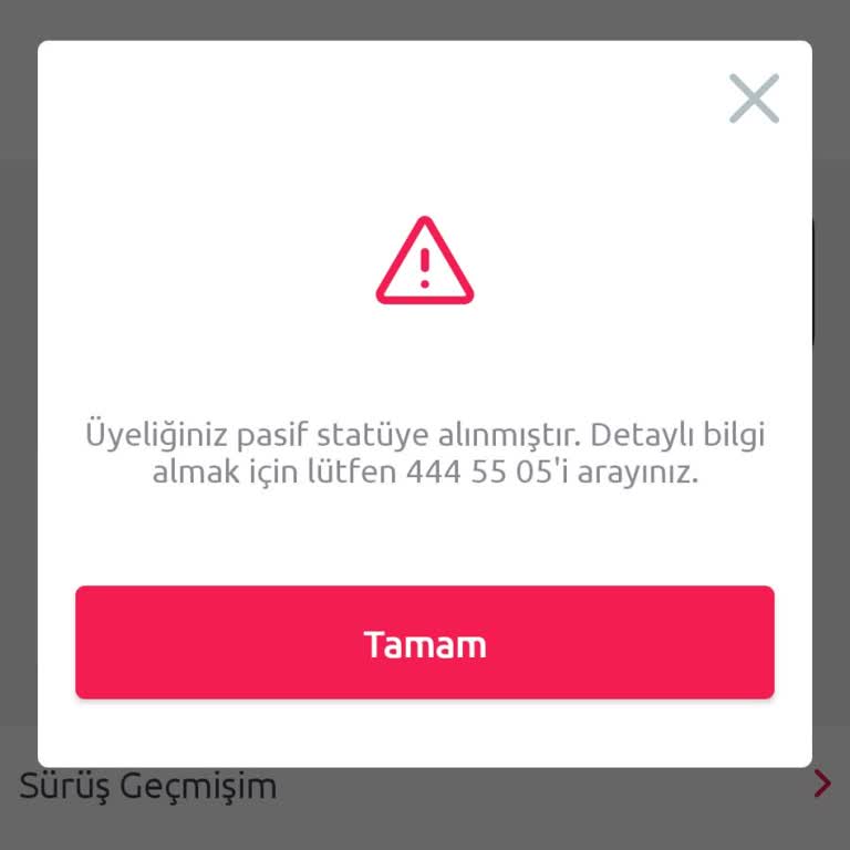 Hesap Pasifliği ve Yeniden Aktifleştirme Talebi