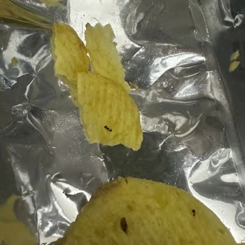 Paket İçinde Ölü Karıncalar Görülmesi Gıda Güvenliğini Tehdit Ediyor