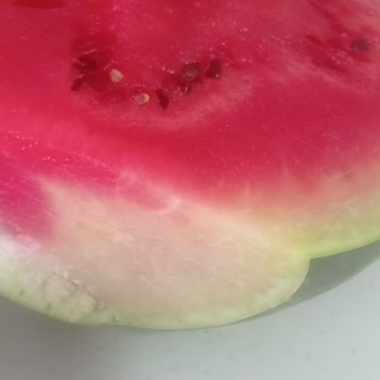 Bozuk Karpuz İçin İade Reddi Ve Mağduriyet