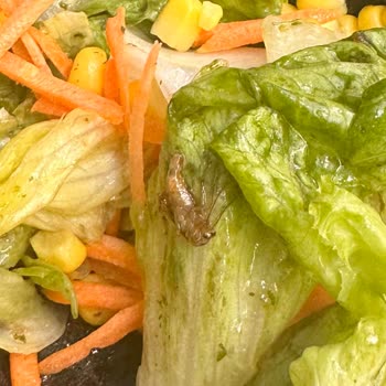 Salata İçindeki Böcek Ve Garsonun Saygısız Tutumu