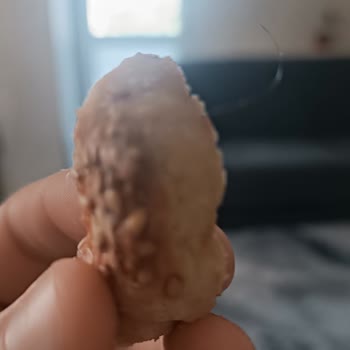 Burtat Kurabiyeden Saç Çıktı