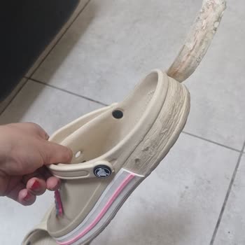 @pars. Shoess Müşteriyi Tamamen Görmezden Gelmeleri