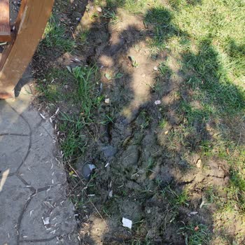 Kartepe Antik Kapı Yanındaki Belediye Parkı Yenilenmeli Ve Çocuklara Uygun Oyun Alanları Eklenmeli
