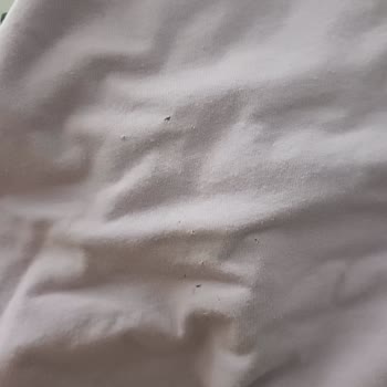Beko Çamaşır Makinesinde Tişört Yırtılma Sorunu Ve Ürün Değişimi Talebi