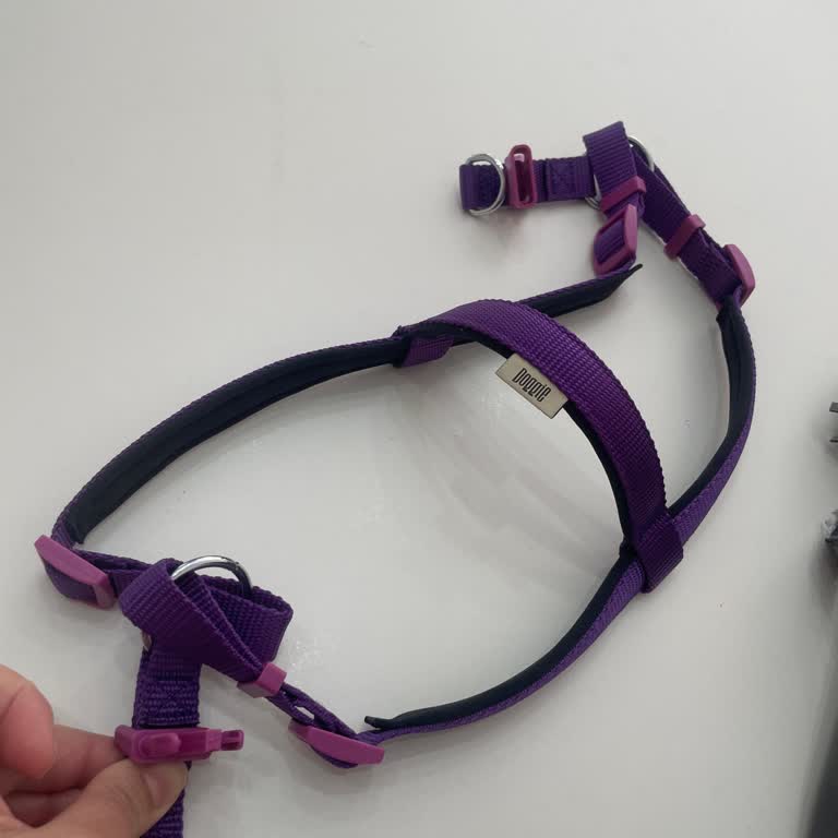 Yanlardan Ayarlanabilir Olduğu Söylenen Köpek Tasması Yanıltıcı