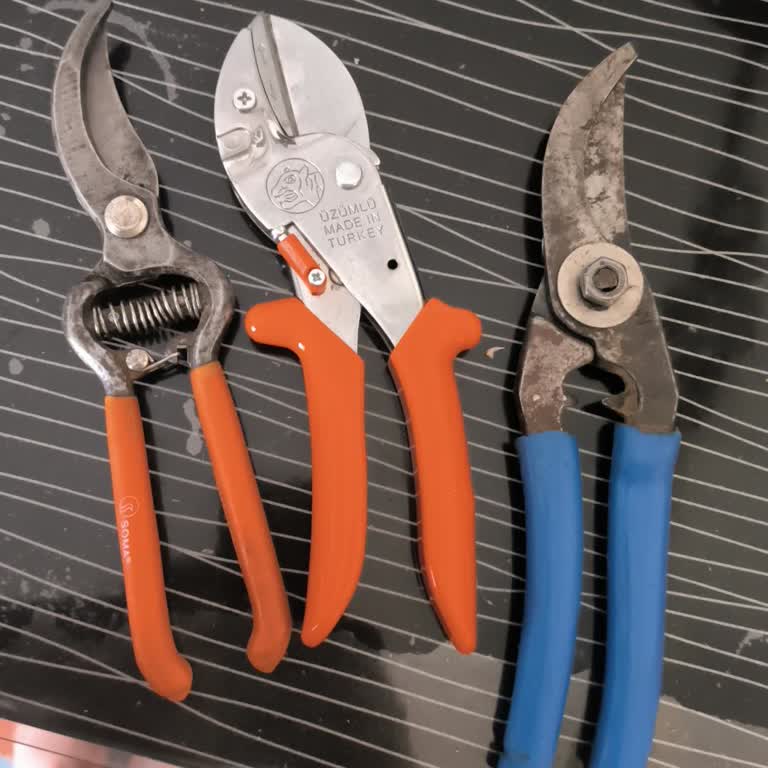 İdefix Bağ Makası Üzüm Dallarını Kesemiyor, Performansı Hayal Kırıklığı Yarattı