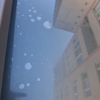 Kapalı Kağıthane Şubesinde PPF Kaplama Sorunu Garanti Kapsamında Çözüm Bekliyor