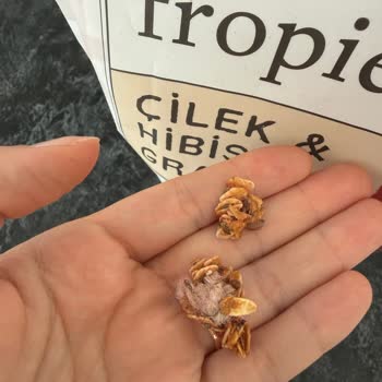 Granola Paketi İçinde Yabancı İp Topağı Ve Hijyen Endişesi