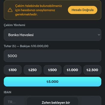 Zwin Casino Ne Bakiyeme Ulaşabiliyorum Ne de Site Üzerinden Herhangi Bir İşlem Yapabiliyorum