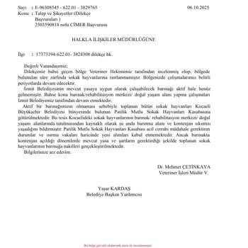 Sokak Köpekleri Tehdidi Ve İzmit Belediyesi’nin İhmali