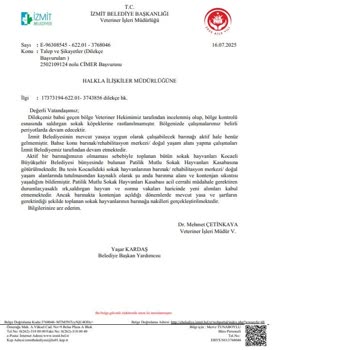 Sokak Köpekleri Tehdidi Ve İzmit Belediyesi’nin İhmali