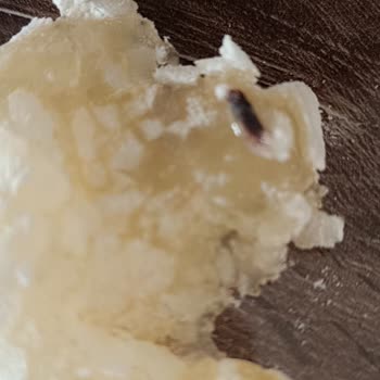Kevser Sade Lokumda Tespit Edilen Yabancı Madde Gıda Güvenliğini Tehdit Ediyor