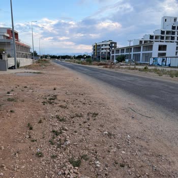 Aksu'da Asfalt Eksikliği Ve Haşere Sorunu