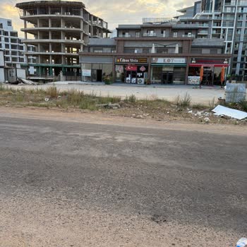 Aksu'da Asfalt Eksikliği Ve Haşere Sorunu