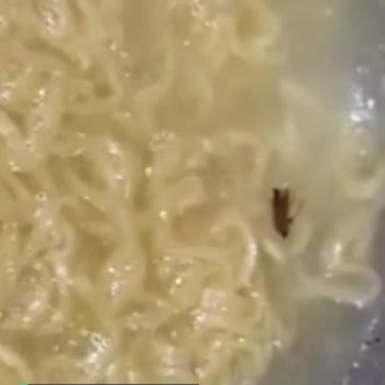 İndomie Köri Soslu Noodle'de Böcek Olması