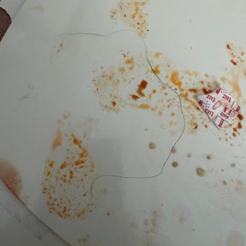 İskender Dönerde Saç Çıktı, Hijyen Şikayeti