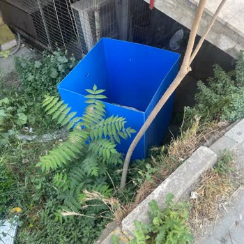 Şok Market’in Çöp Atması Nedeniyle Kirlilik Ve Hijyen Sorunu