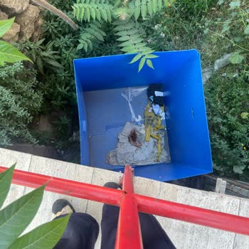 Şok Market’in Çöp Atması Nedeniyle Kirlilik Ve Hijyen Sorunu