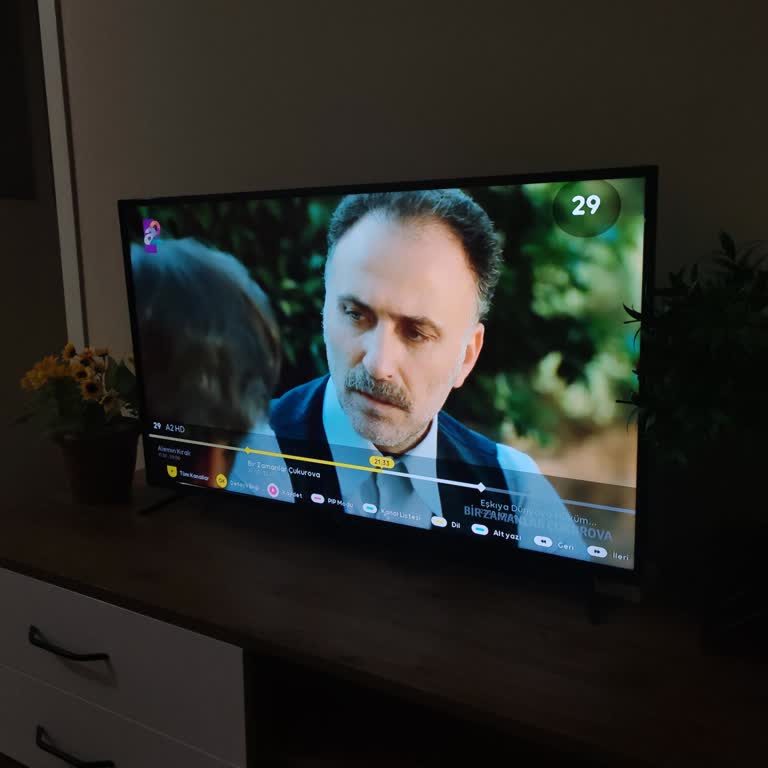 A2 Kanalında Bir Zamanlar Çukurova Tekrar Yayınına Son Verilmesini Talep Ediyorum