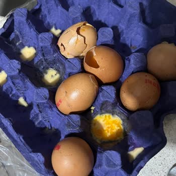 Kırık Ve Sızıntılı Yumurta Teslimatı, İade Talebine Yanıt Yok