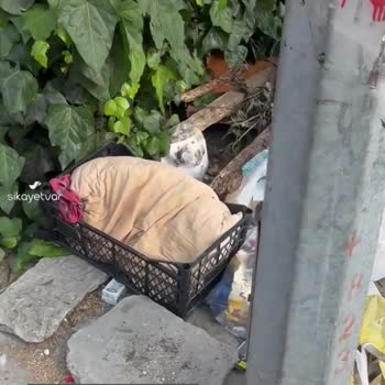 Yalova Belediyesi Sesimi Duy