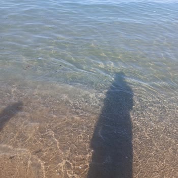 Çamlıköy Tabiat Parkı Ziftli Denize Girmemize Göz Yumdular