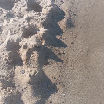 Çamlıköy Tabiat Parkı Ziftli Denize Girmemize Göz Yumdular