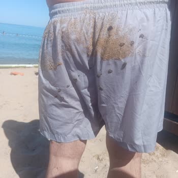 Çamlıköy Tabiat Parkı Ziftli Denize Girmemize Göz Yumdular