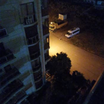 İstiklal Mahallesi’nde Gece Havlayan Sokak Köpekleri Güvenliğimizi Tehdit Ediyor