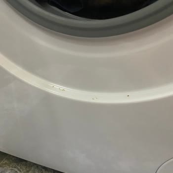 Garanti Kapsamındaki Çamaşır Makinesinde Panel Paslanması İçin Tam Değişim Talebi