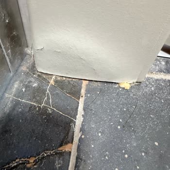 ASM Group Daire Maalesef Hayatımın Pişmanlığı Haline Geldi