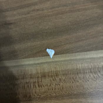 Ülker Select Çikolatasında Plastik Parça Bulunması Güveni Sarsıyor