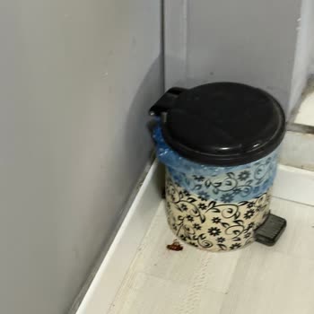 Güler Butik Otel'de Böcekli Ve Kirli Oda, İade Talebi