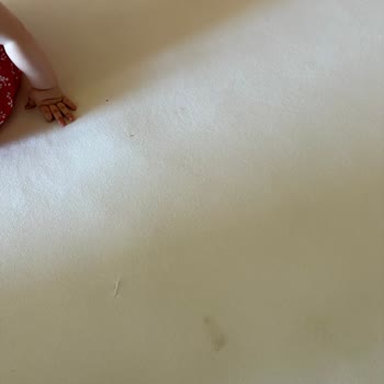 Güler Butik Otel'de Böcekli Ve Kirli Oda, İade Talebi