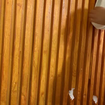 Güler Butik Otel'de Böcekli Ve Kirli Oda, İade Talebi