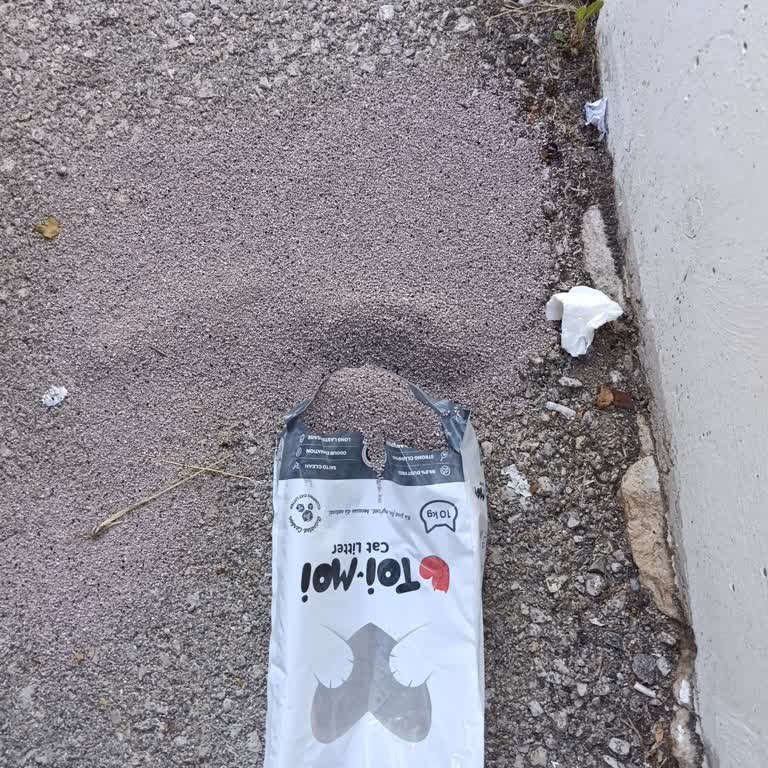 Patlak Kedi Kumu Paketi Ücret İadesi Talebi