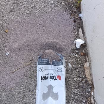 Petpal'dan Gelen Kedi Kumu Patlak Çıktı, İade Ya Da Değişim İstiyorum