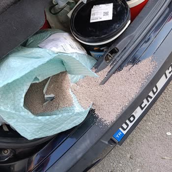 Petpal'dan Gelen Kedi Kumu Patlak Çıktı, İade Ya Da Değişim İstiyorum