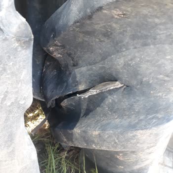 İki Yıllık Traktörümün Lastikleri Garanti Dışında Reddedildi