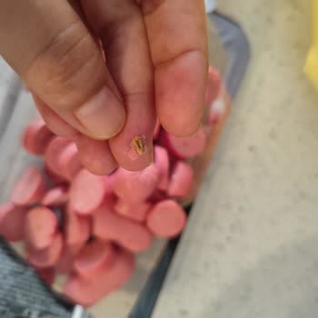 Namet Hindi Sosis’ta Yabancı Madde Ve Sağlık Riski