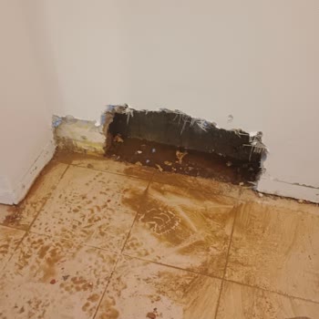 Çocuk Odasındaki Su Sızıntısı Ve Sigorta Reddi